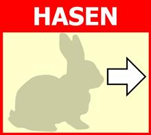 Grafik Hasen