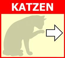 Grafik Katzen