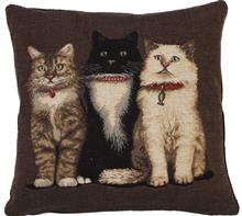 Kissen Hauskatzen: Kissen "HAUSKATZEN" Größe 50x50cm ABVERKAUF - RESTPOSTEN statt 58,90 j