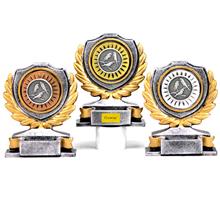 Steinguss-Trophäe inkl. DC go-si-br + Motiv Vogelzucht "FA105": Kleine silberne Steingusstrophäe mit Diamantcenter in Gold-Silber-Bronze und